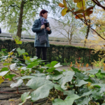 Fotoworkshop op maat