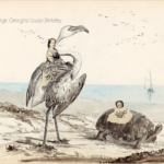 Collage Georgiana Louisa Berkeley