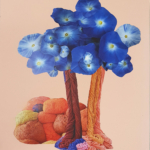 Workshop Collage Zeeland