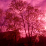 fotoworkshop voor kinderen