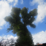 fotoworkshop kinderen zeeland